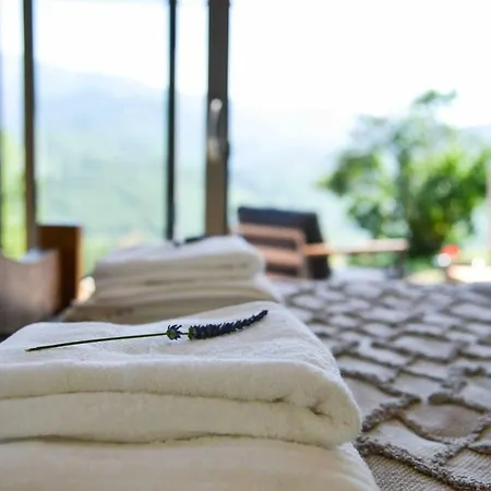 Mountain Hikers Luxury Retreat In Roquefixade