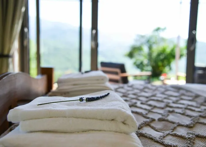 The Restoration Place Pyrenees Roquefixade